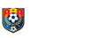 法甲直播